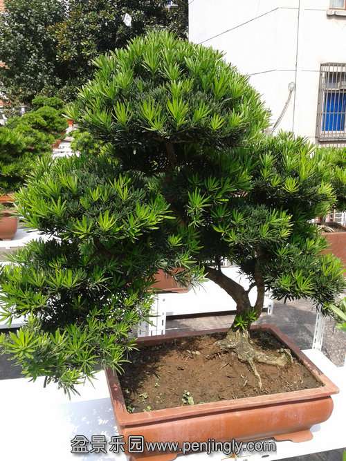 2013-09-29 12.17.50.jpg