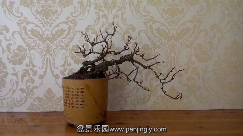 IMG_20141216_134744.jpg