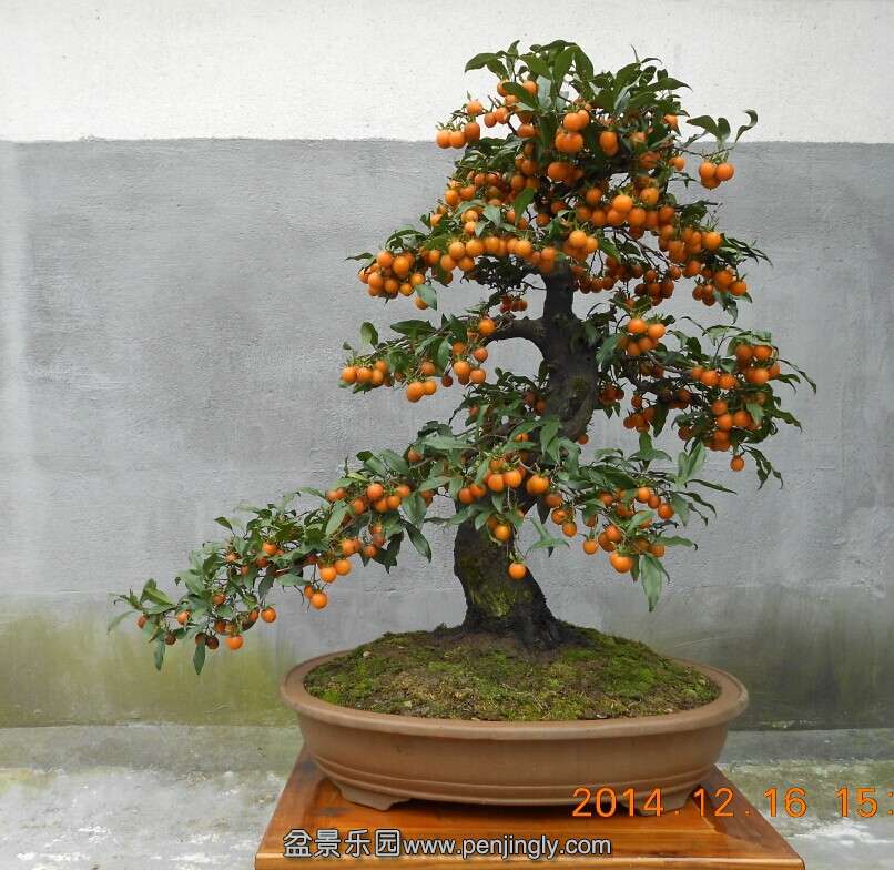 08赯׮3.jpg