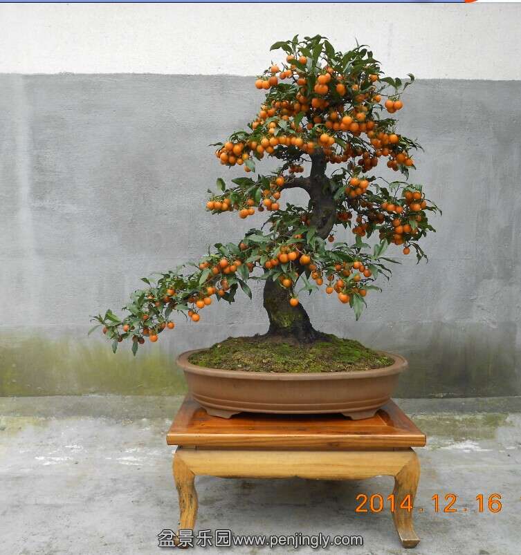 08赯׮4.jpg