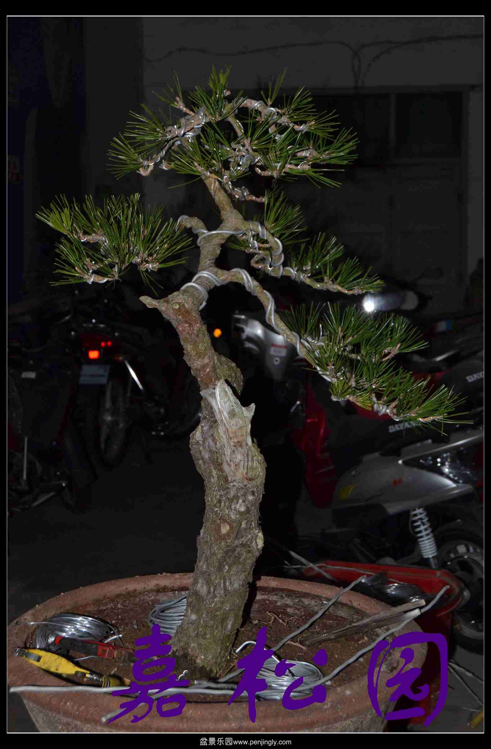 �߸˺��� 003.JPG