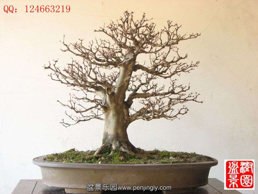 IMG_0852__.jpg