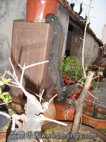 С SDC14075.JPG