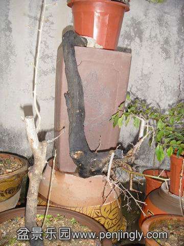 С SDC14074.JPG