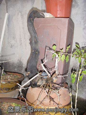 С SDC14076.JPG