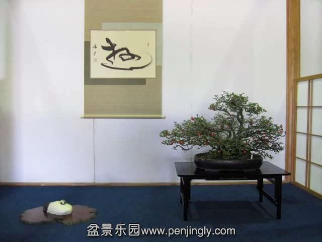 psb (1).jpg