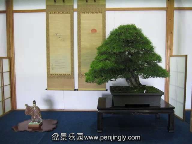 psb (2).jpg