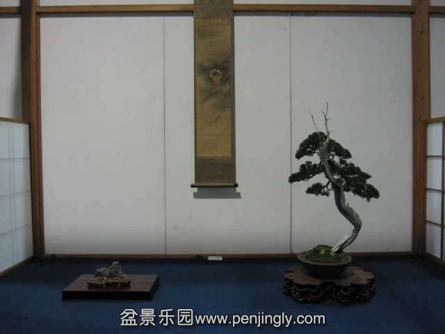 psb (8).jpg
