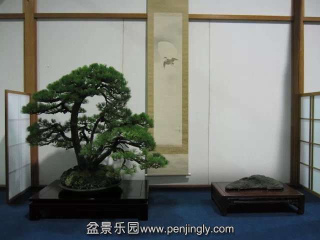 psb (9).jpg