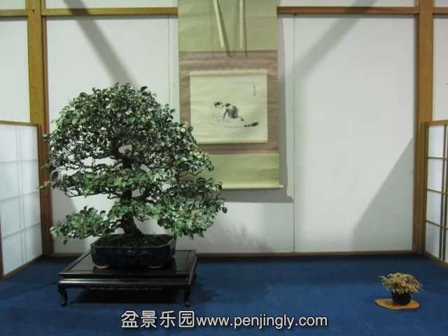 psb (10).jpg