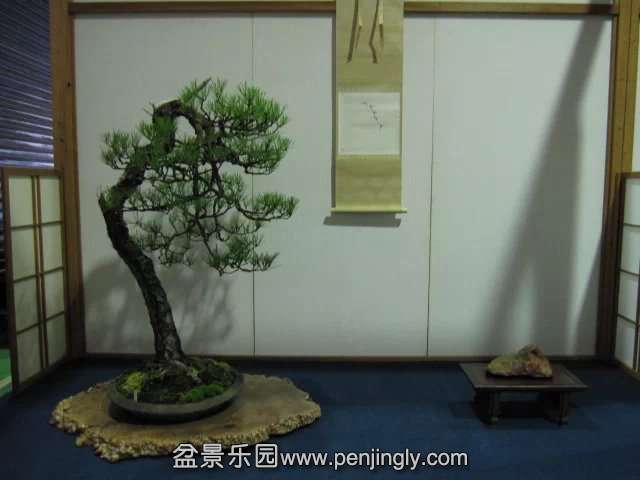 psb (11).jpg
