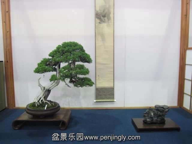 psb (22).jpg