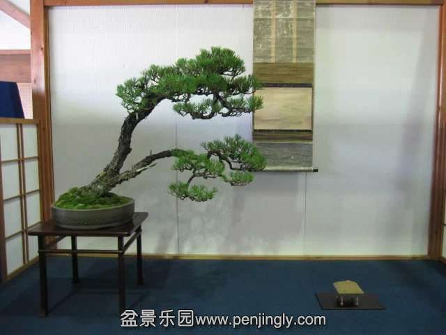 psb (24).jpg