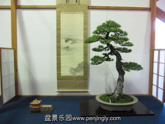psb (25).jpg