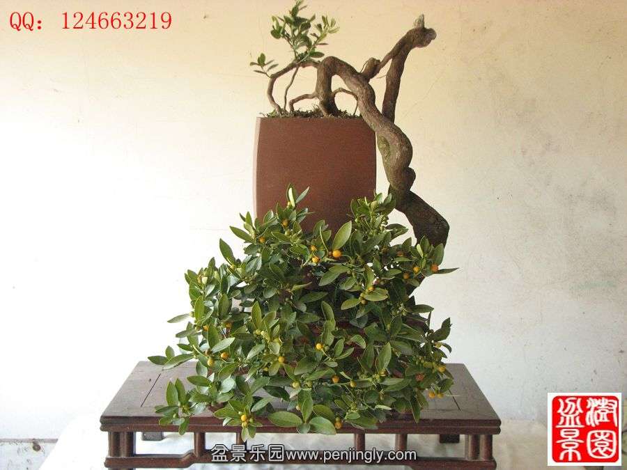 IMG_0872__.jpg