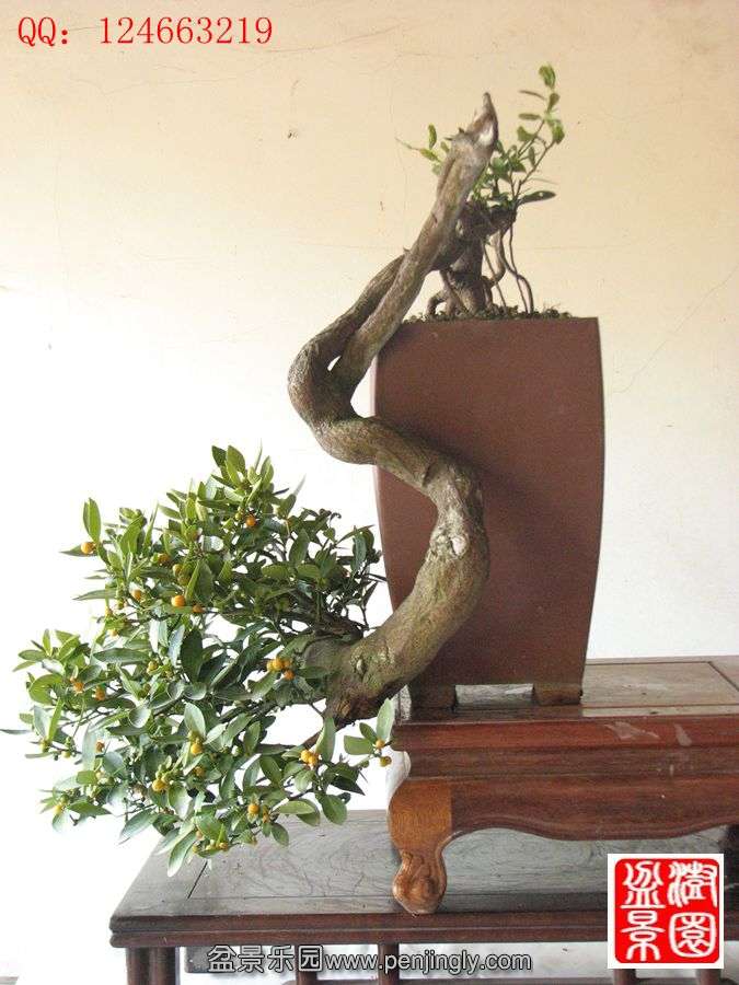 IMG_0874__.jpg