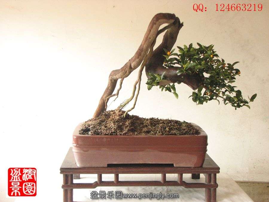 IMG_0884__.jpg