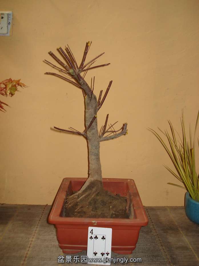 DSC01150.JPG