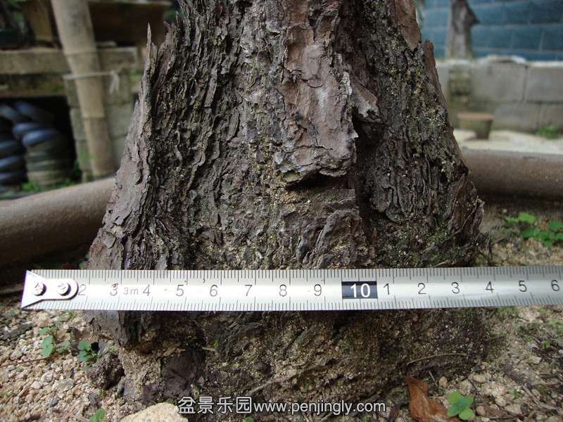 DSC01254_.jpg