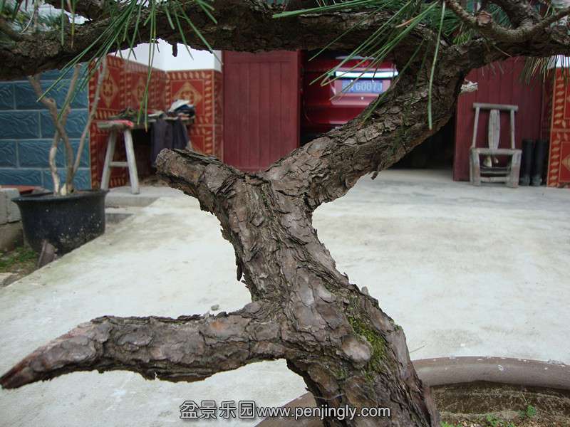 DSC01255_.jpg