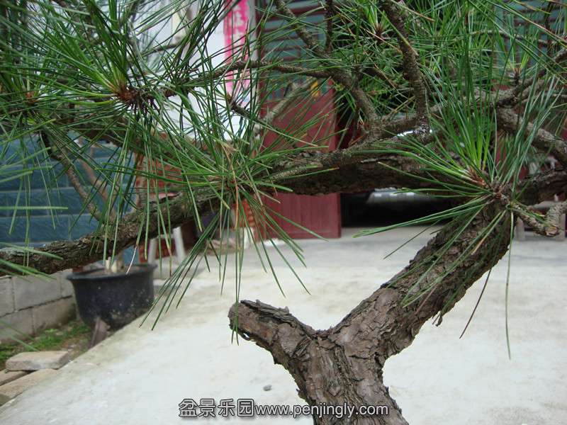 DSC01256_.jpg