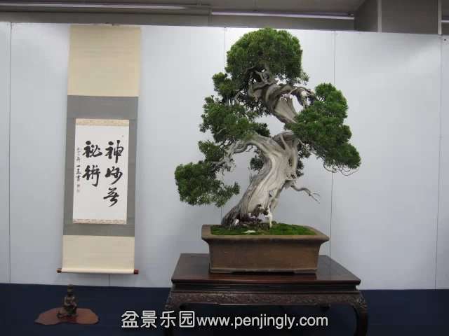 psb (78).jpg