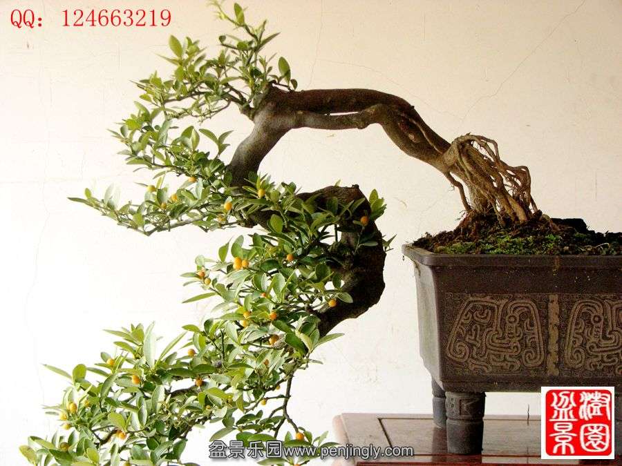 IMG_0925__.jpg