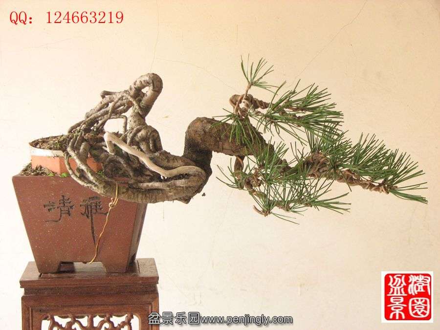 IMG_0938__.jpg