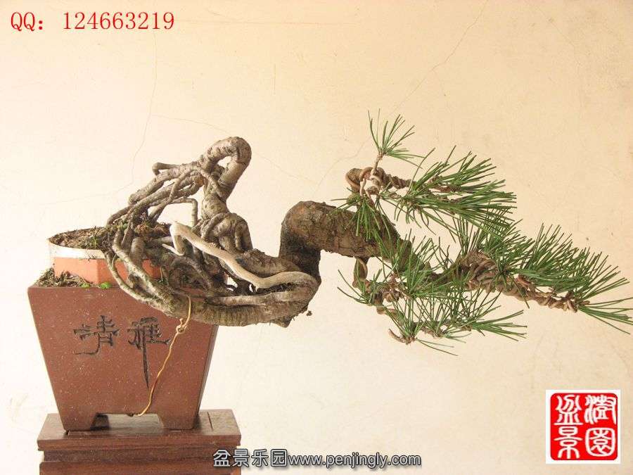IMG_0942__.jpg