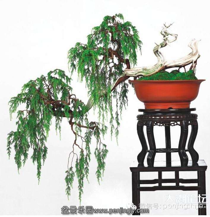 171626tli17jtzi5o92mp0.jpg
