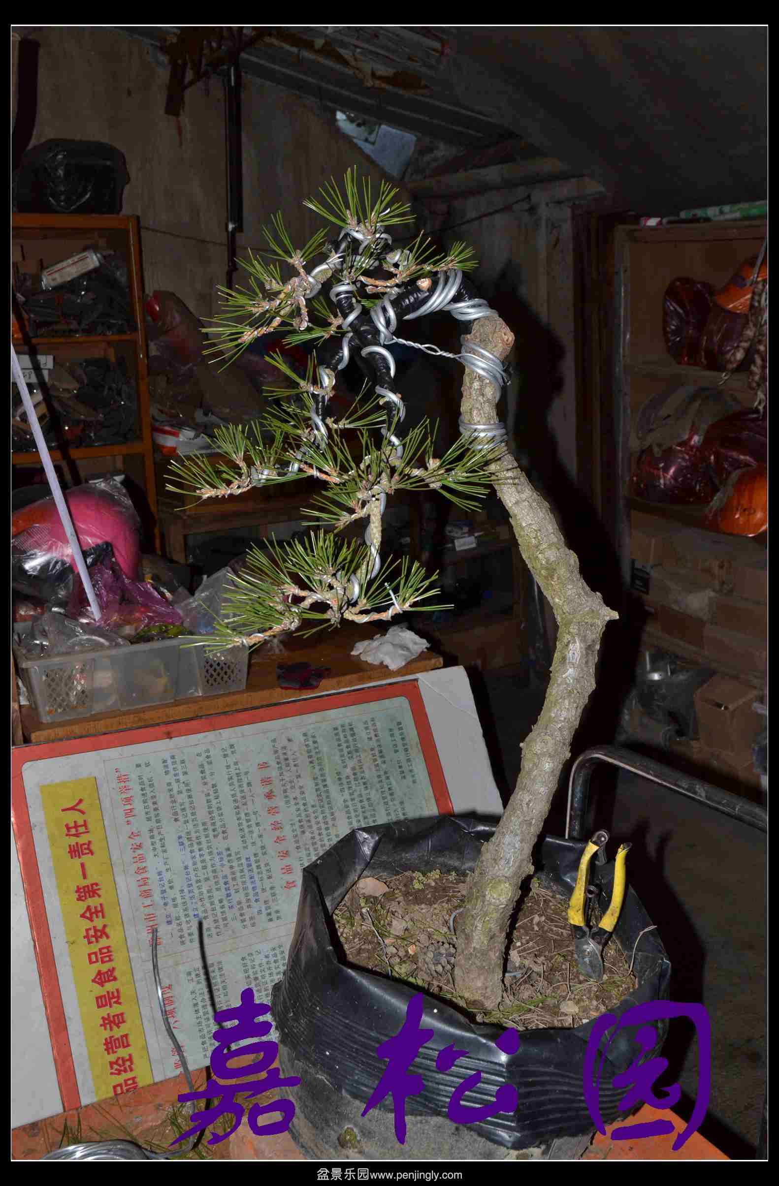 ���� 001.JPG