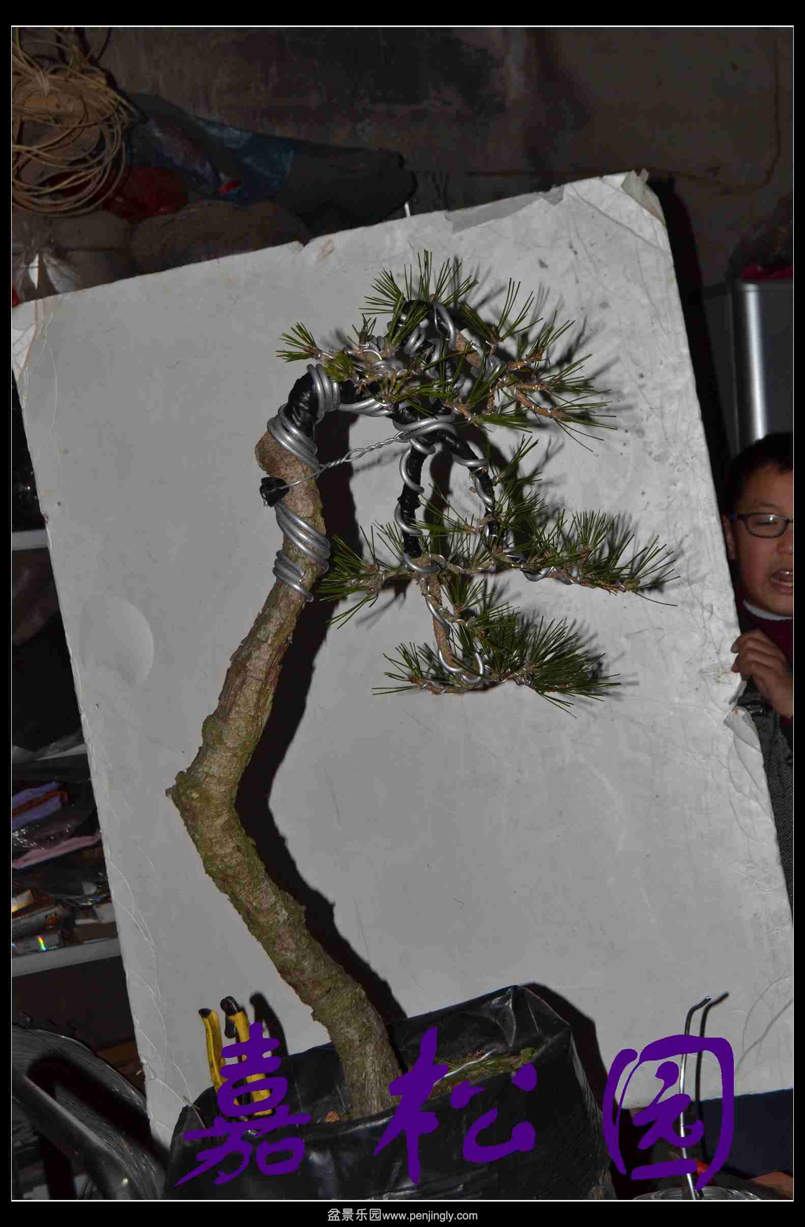 ���� 008.JPG