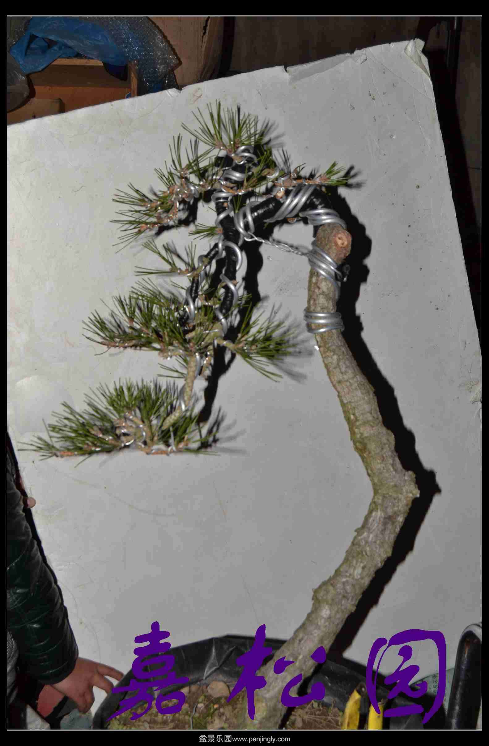 ���� 011.JPG