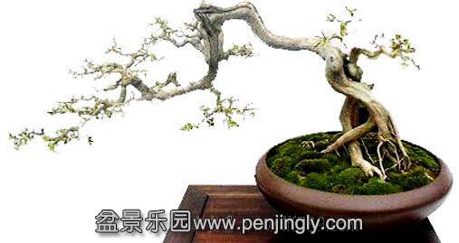 u124103828_131007e463bg215.jpg