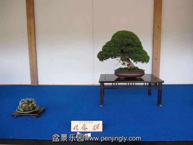 psb010.jpg