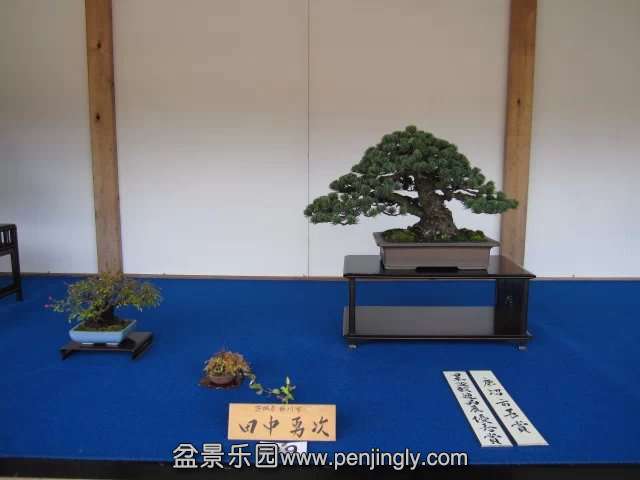 psb011.jpg