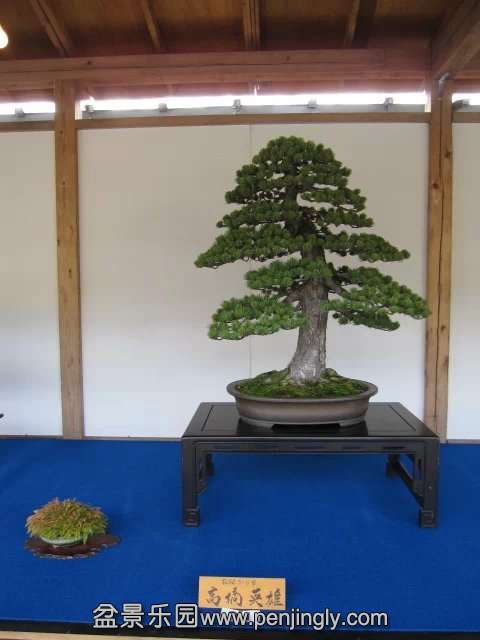 psb013.jpg