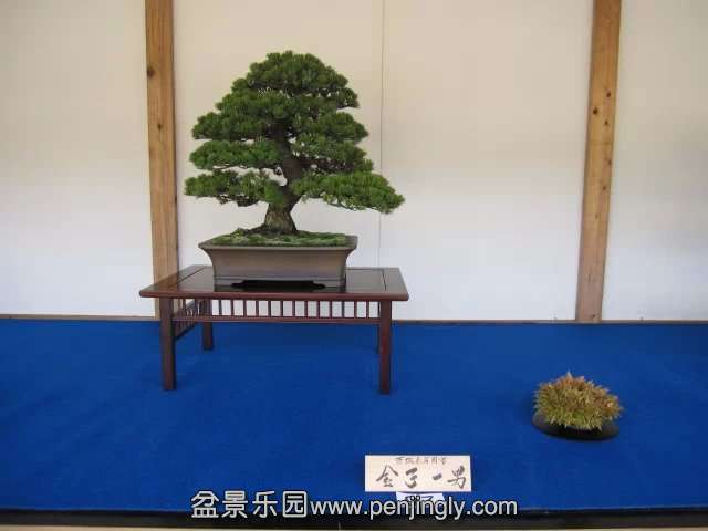 psb020.jpg