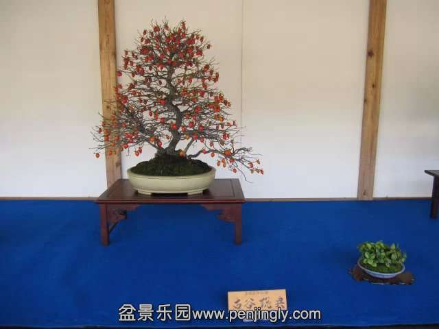 psb021.jpg
