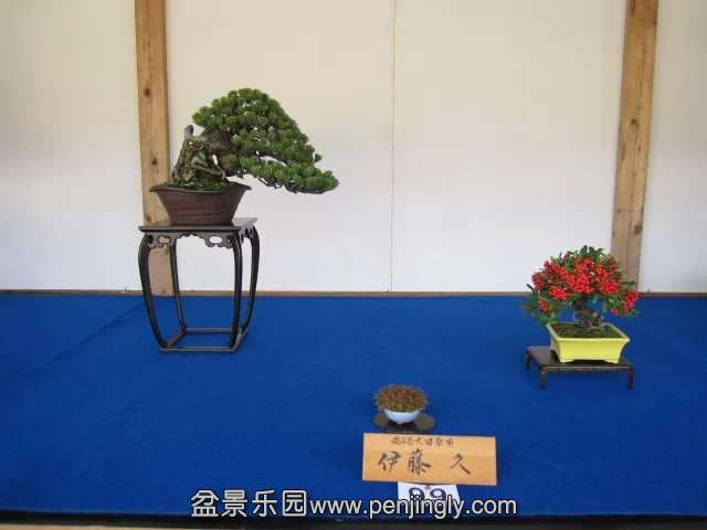psb022.jpg