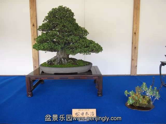 psb023.jpg