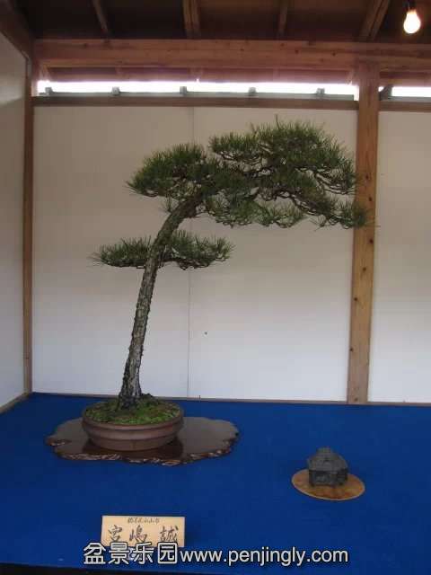 psb025.jpg