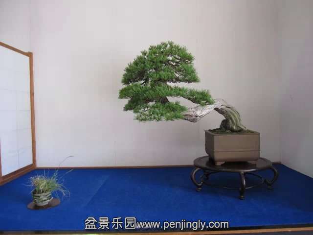 psb (2).jpg