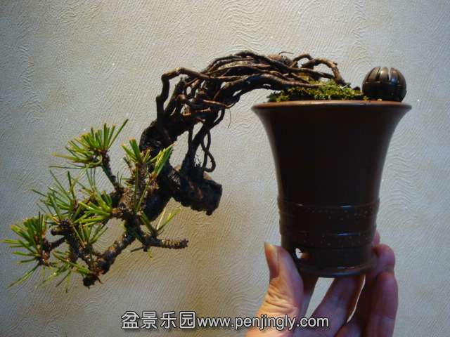 DSC09707.JPG