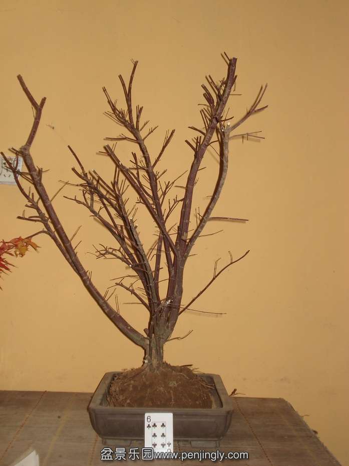 DSC01242.JPG