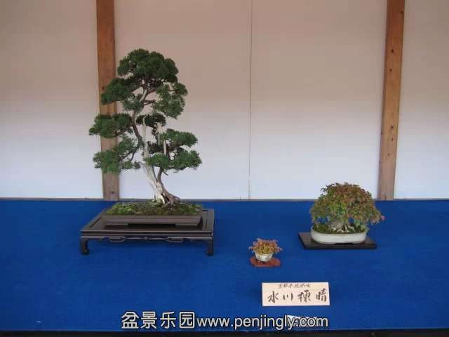 psb (67).jpg