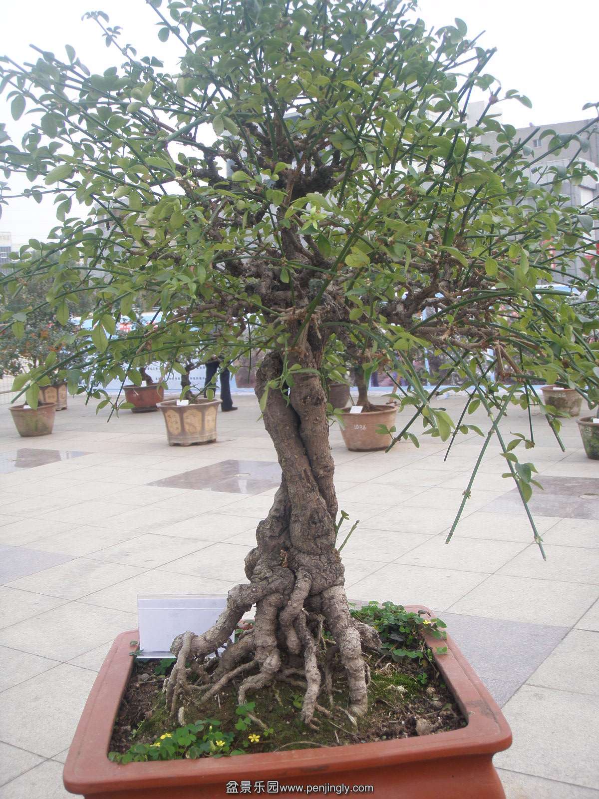P9240183.JPG