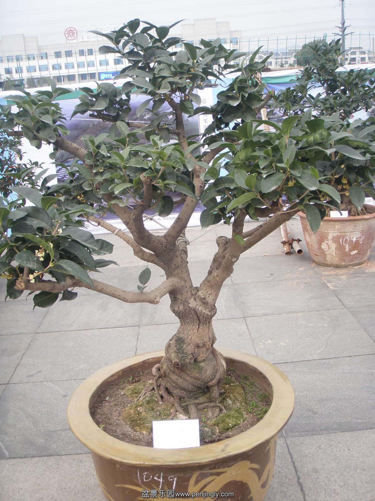 P9240210.JPG