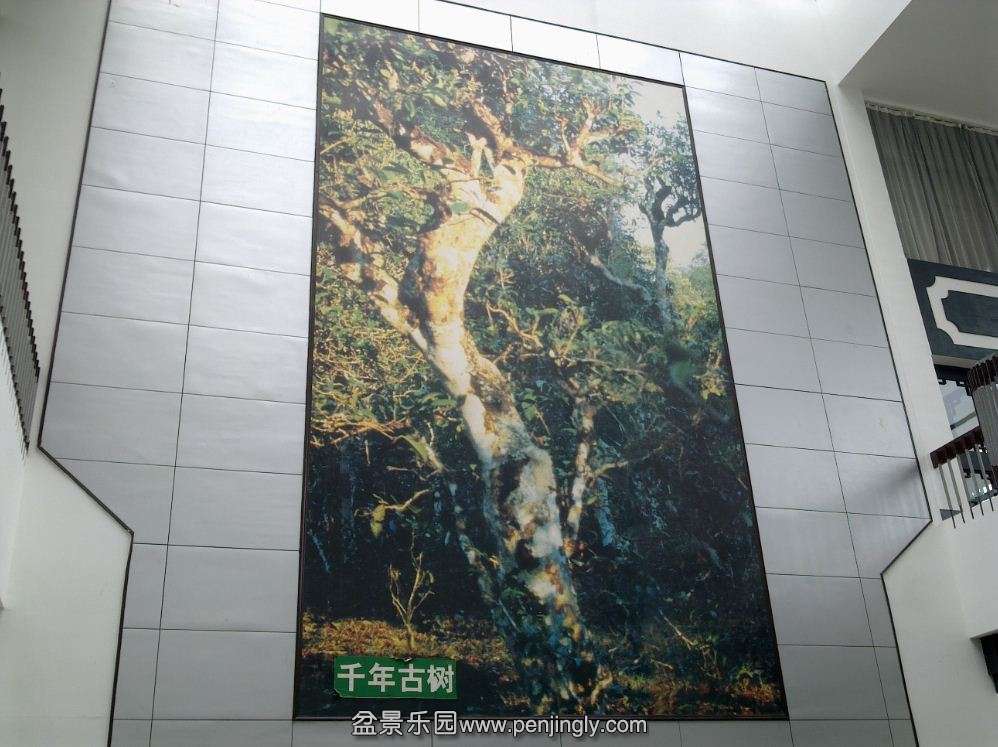 ͼ21.jpg