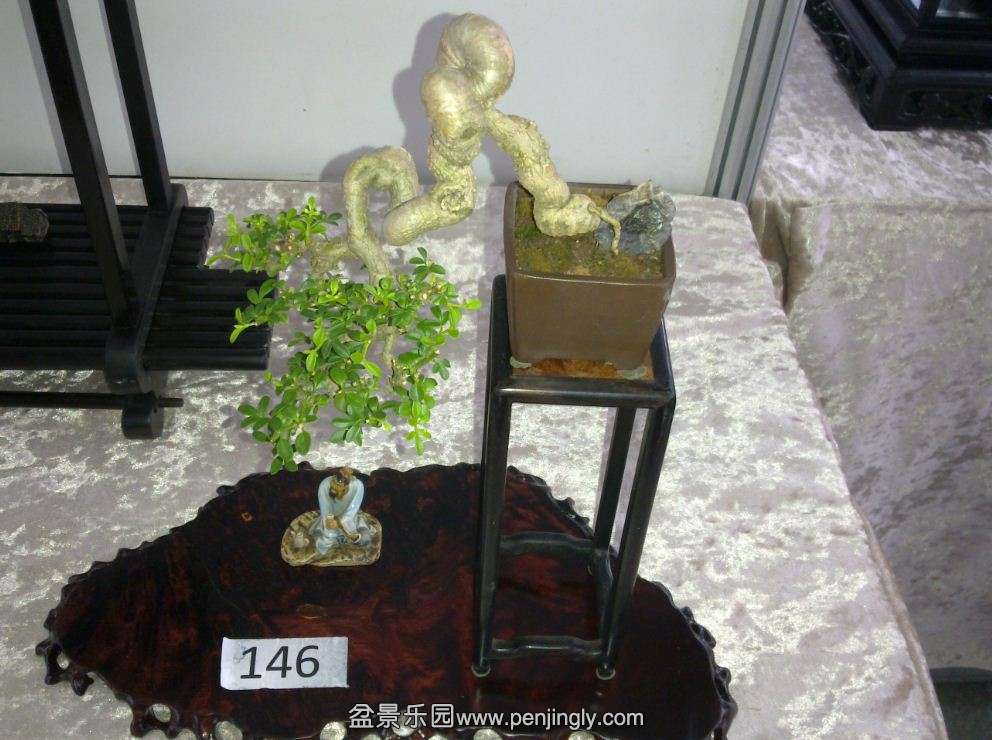 ͼ25.jpg